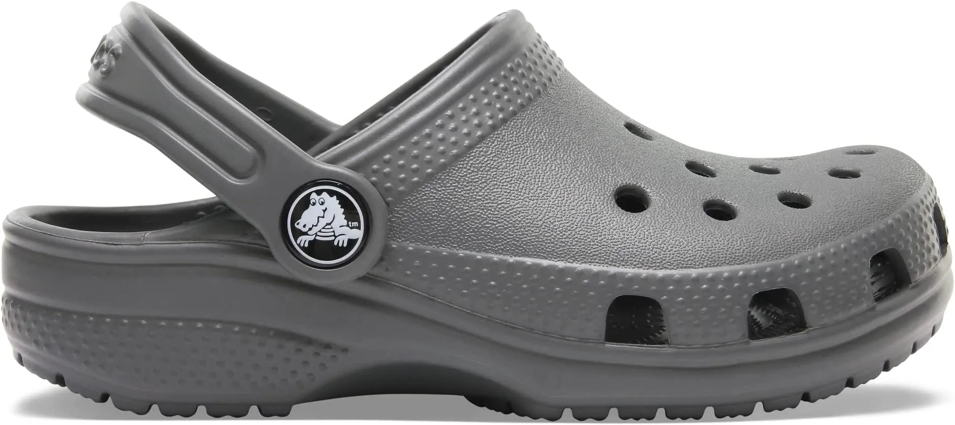 Classic Clog Crocs, Slate Gray